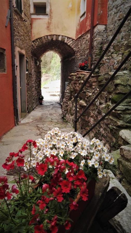 Borgo Di Codeglia - Country Rooms Ricco del Golfo di Spezia Exterior photo